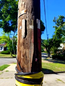 Fire alarm pole - Utility pole - Arlington, MA - 20200904 092812