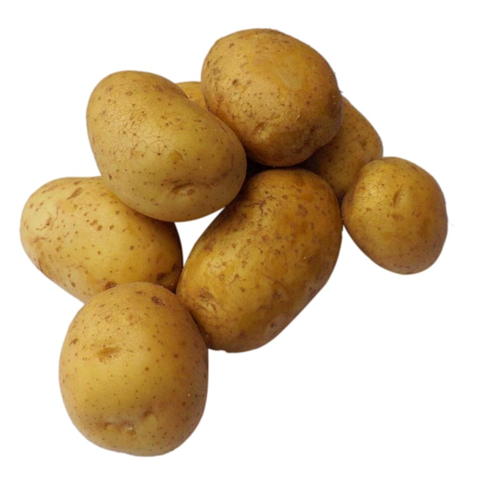 Potatoes food eat