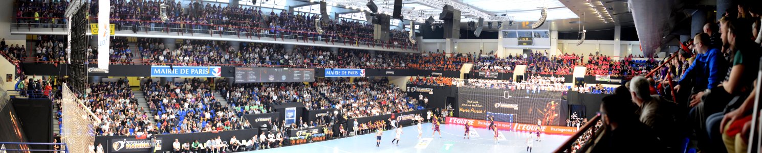 Finale Coupe de France masculine 2015