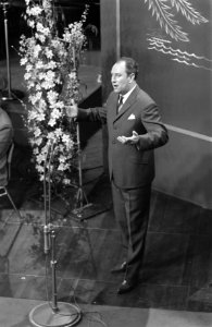 Finale van het Nationaal Songfestival 1960 in Hilversum. Zanger Tonny van Hulst , Bestanddeelnr 911-0169