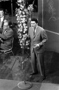 Finale van het Nationaal Songfestival 1960 in Hilversum. Zanger Wim van der Beek, Bestanddeelnr 911-0166