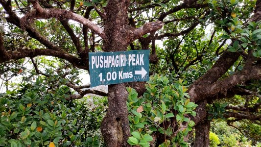 Final stretch of Pushpagiri Karnataka India