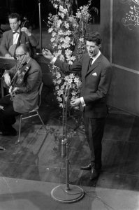 Finale van het Nationaal Songfestival 1960 in Hilversum, Rudy Carrell, Bestanddeelnr 911-0172