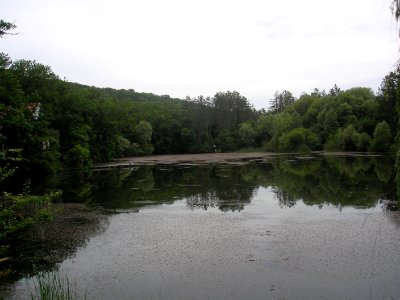 Finaros 4