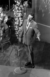 Finale van het Nationaal Songfestival 1960 in Hilversum, Karel van de Velden, Bestanddeelnr 911-0164