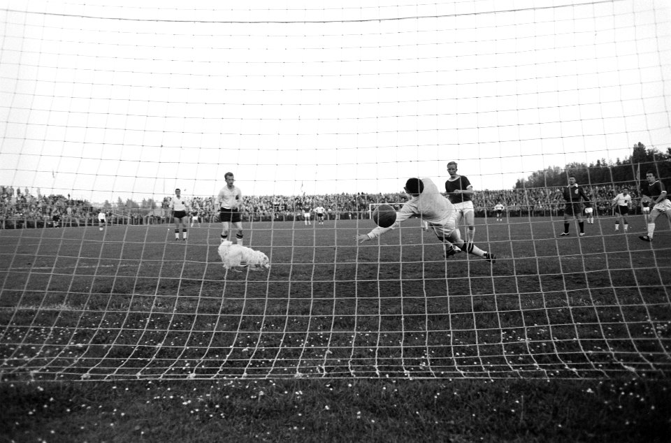 Finale KNVB-beker Ajax tegen NAC Keeshondje in het doel, Bestanddeelnr 912-5982