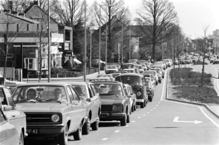 File naar de Keukenhof, Bestanddeelnr 929-1182 photo