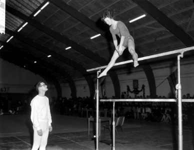 Finale Nederlandse kampioenschappen Turnen dames te Enschede Thea Belmer tijden, Bestanddeelnr 915-8214