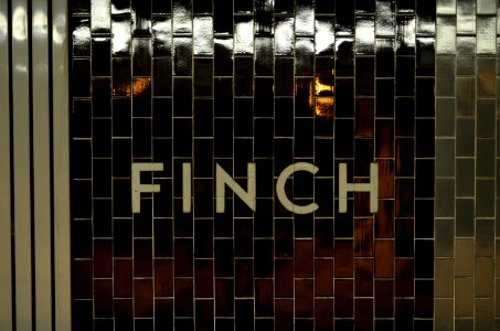 FinchTTC photo