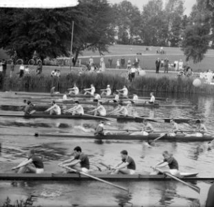 Finale van de jonge achten op de Bosbaan, Bestanddeelnr 912-5599