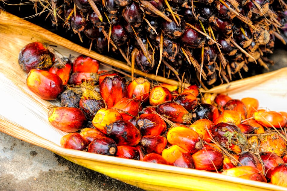 Background ripe red