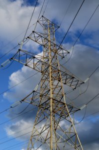 FinchBusTerminalPowerLines3