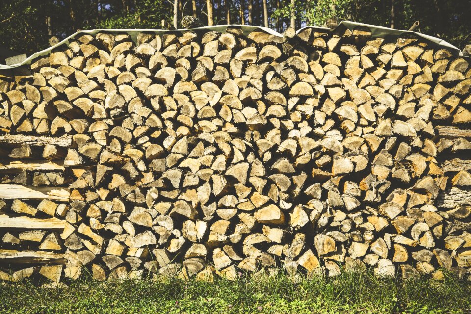 Holzstapel growing stock log