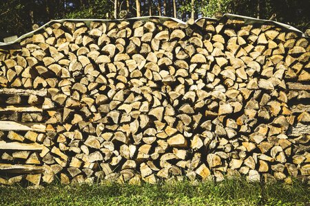 Holzstapel growing stock log photo