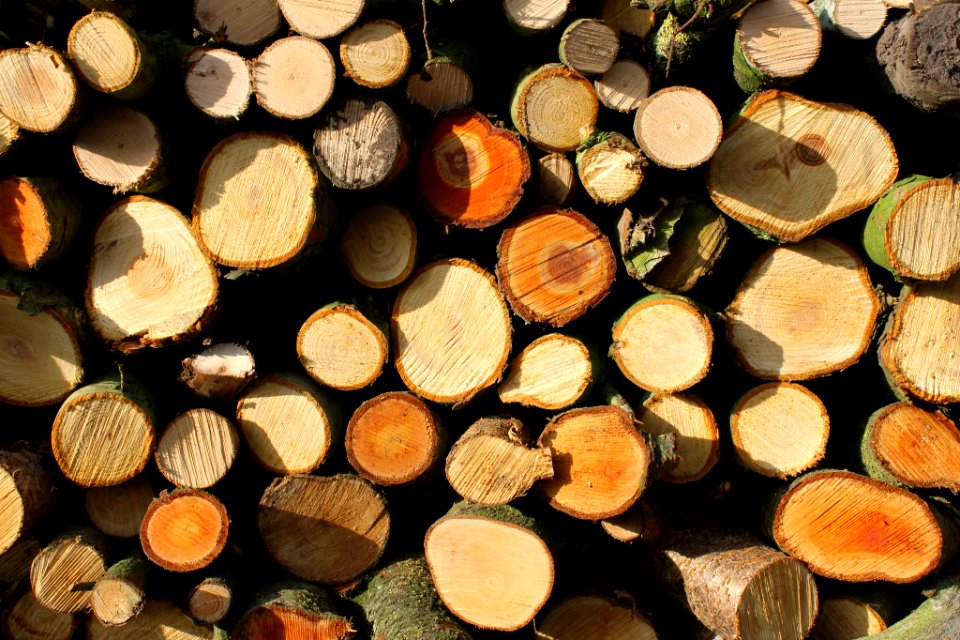 Firewood (184189073)