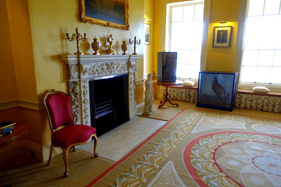 Fireplace - Shugborough Hall - Staffordshire, England - DSC00073