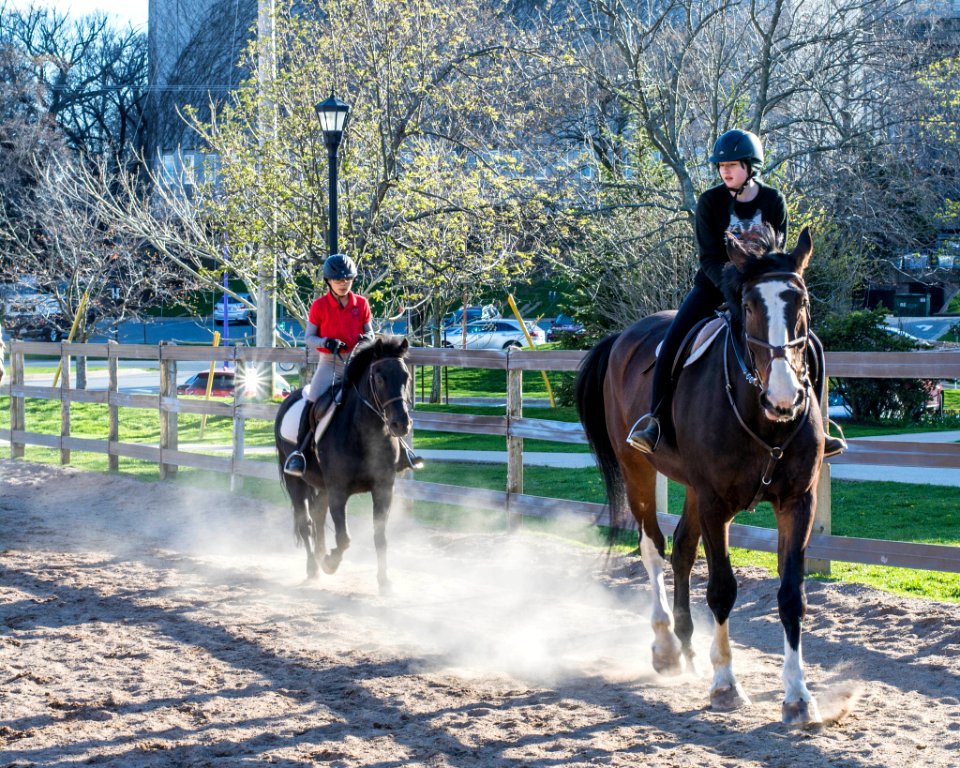 First Ride Of Spring (153728515)