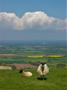 Firle Beacon 4