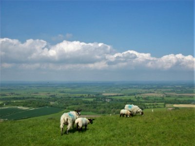 Firle Beacon 3