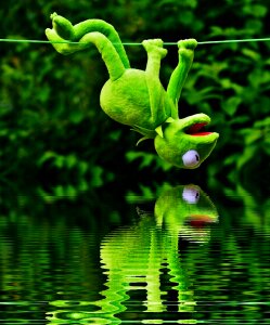 Plush toys kermit toys