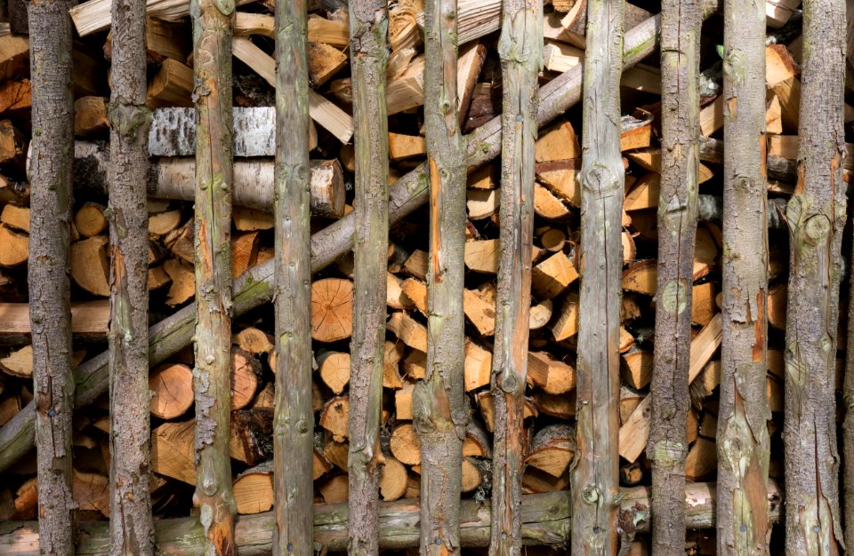 Firewood in wood shed at Fjällastugan