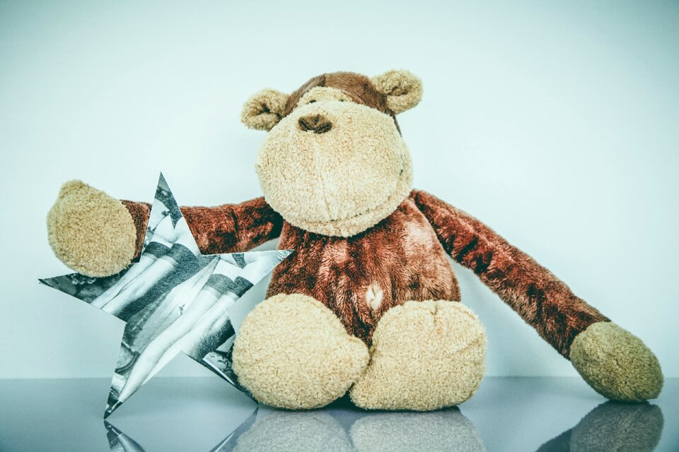 Teddy bear teddy children toys