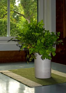 Fjällastugan vase with bilberry twigs