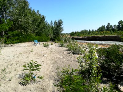 Fiume Secchia a Casalgrande 36