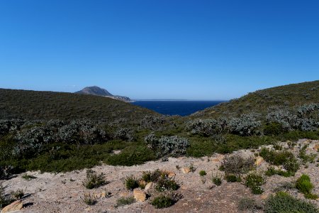 Fitzgerald River National Park, Western Australia 14