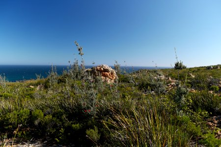 Fitzgerald River National Park, Western Australia 07