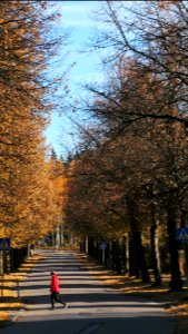 FI-Tampere-20131016 112543 HDR