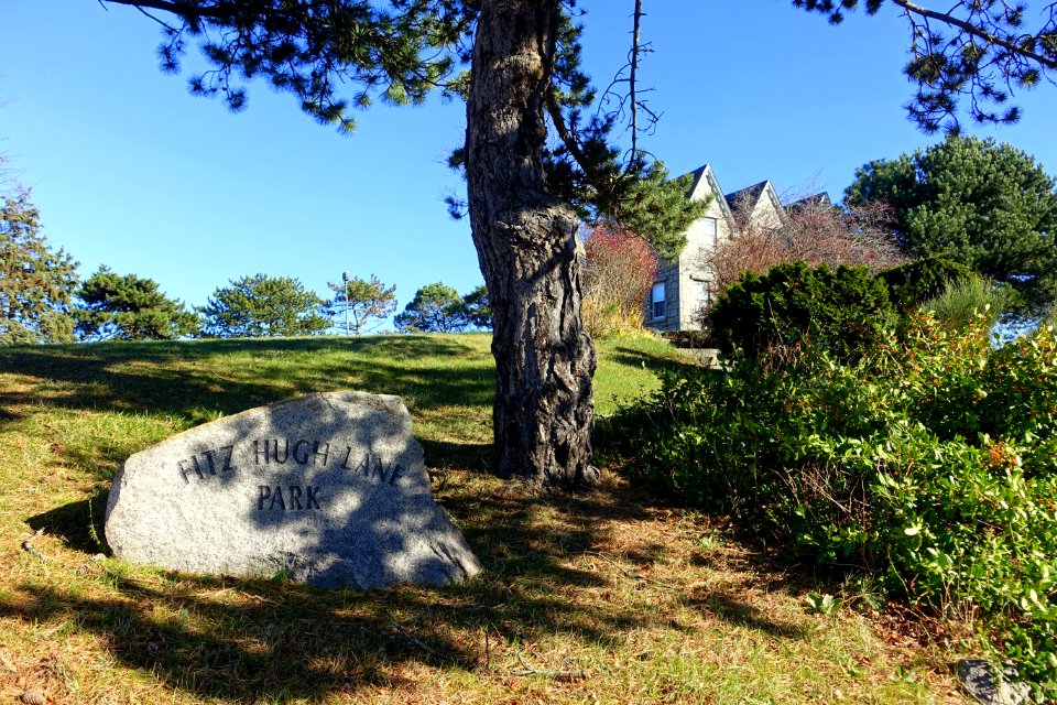 Fitz Hugh Lane Park - Gloucester, MA - DSC01499