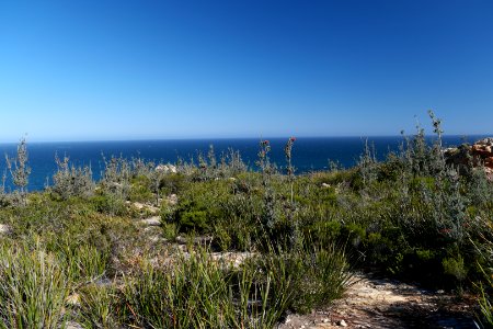 Fitzgerald River National Park, Western Australia 06