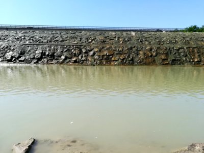Fiume Secchia a Casalgrande 26