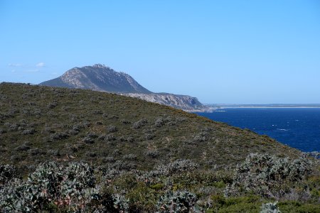 Fitzgerald River National Park, Western Australia 15