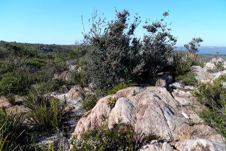 Fitzgerald River National Park, Western Australia 04