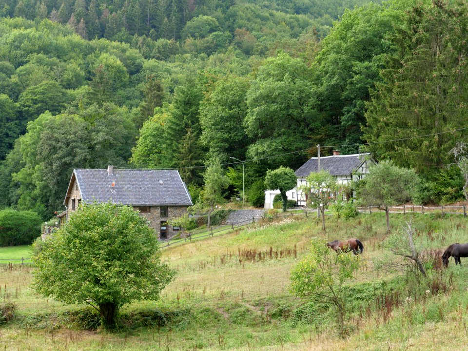 Finkenaul in Erkensruhr valley 07
