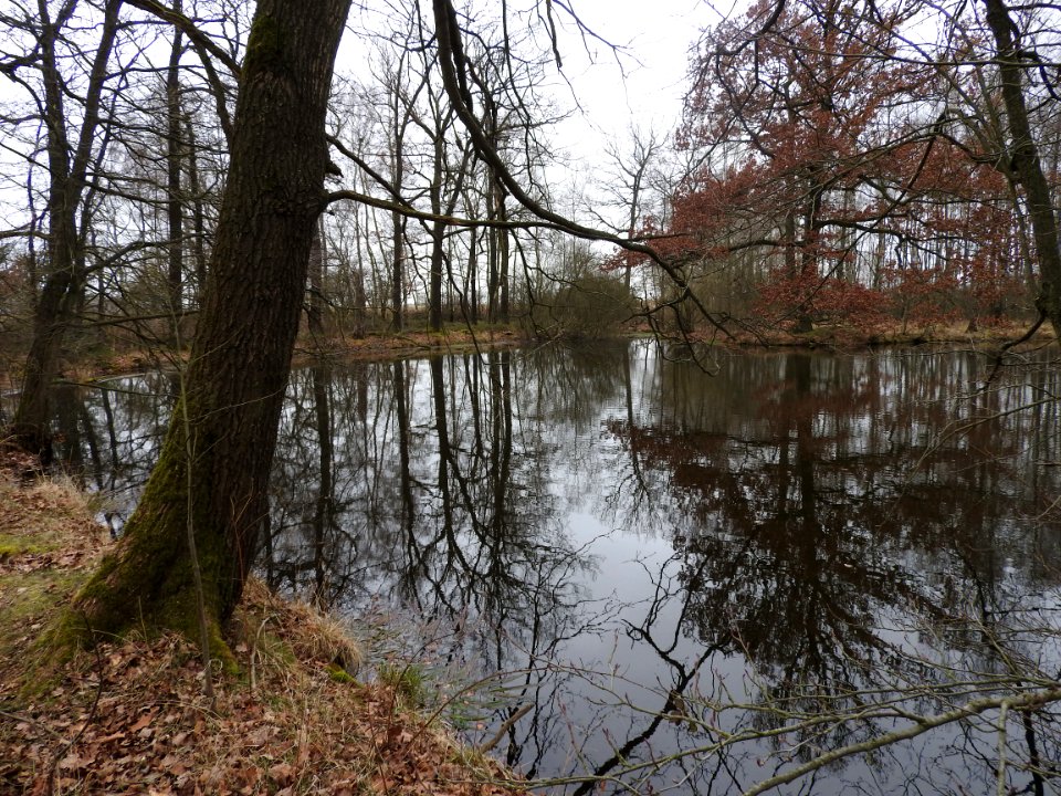 Finkenmühle, Volkmannsdorf 2