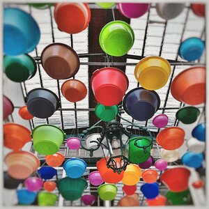 Color portugal market