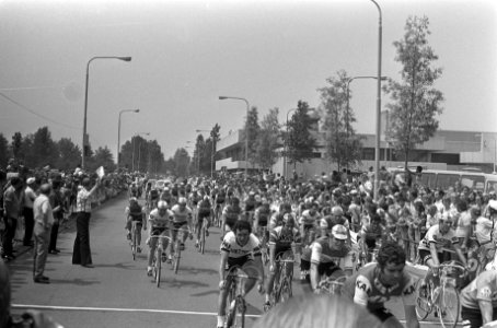 Finish eerste etappe Tour de France , Scheveningen naar Rotterdam, Peleton arriv, Bestanddeelnr 926-5195