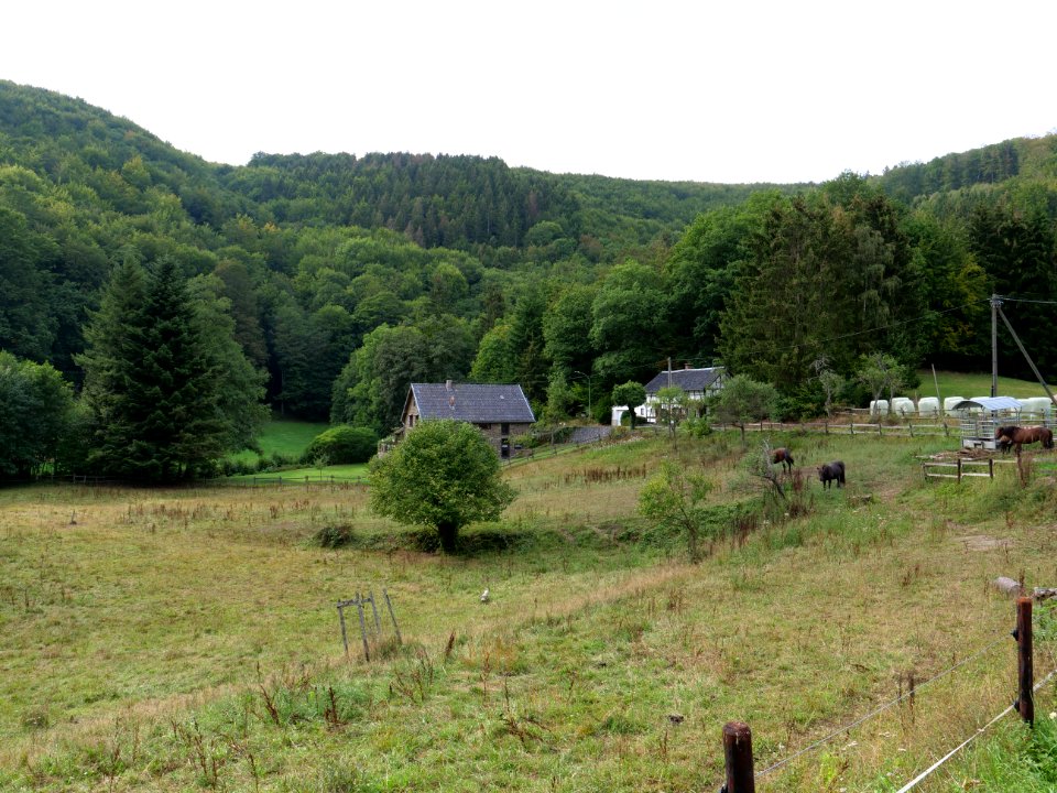 Finkenaul in Erkensruhr valley 04