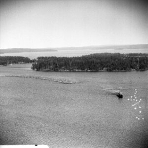 Finland, houttransport op het water, Bestanddeelnr 918-9599