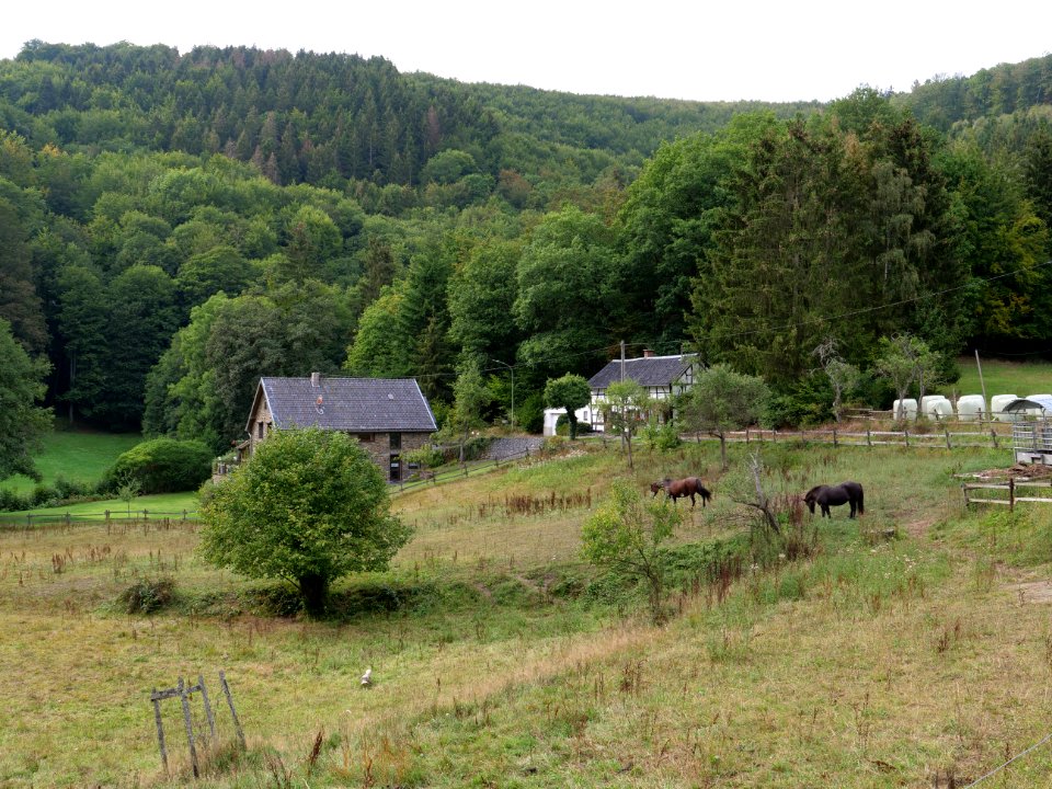 Finkenaul in Erkensruhr valley 06