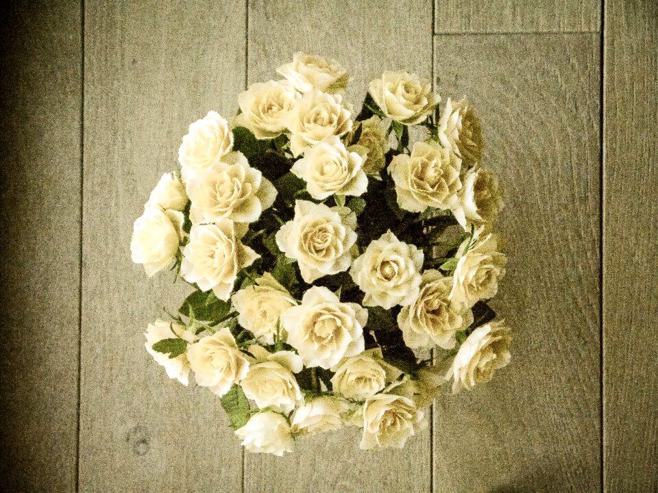 White yellow top view