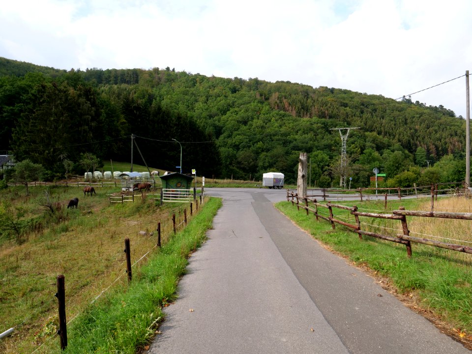 Finkenaul in Erkensruhr valley 01