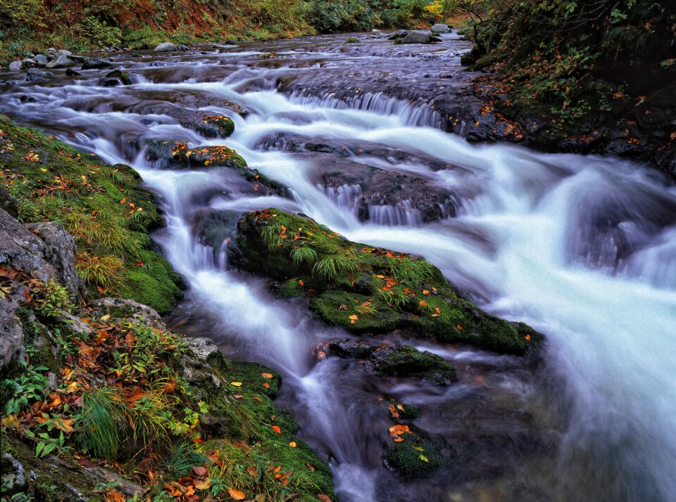 Rock autumn shirakami-sanchi
