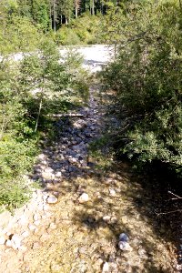Fischbach bjs190903-02