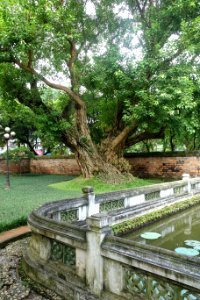 First courtyard - Temple of Literature, Hanoi - DSC04708