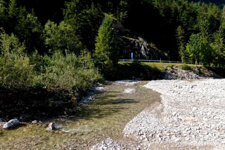 Fischbach bjs190903-04