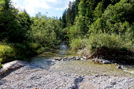 Fischbach bjs190903-03